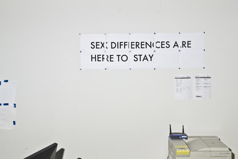 In what is probably an office space or design studio (you can make out a laser printer, the back of a flatscreen monitor) a text is tacked to the wall constructed of a number of A4 sheets collated together: SEX DIFFERENCES ARE HERE TO STAY